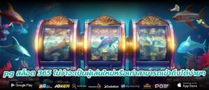 pg สล็อต 365 ไม่ว่าจะเป็นผู้เล่นใหม่หรือเก่าสามารถเข้าถึงได้ง่ายๆ